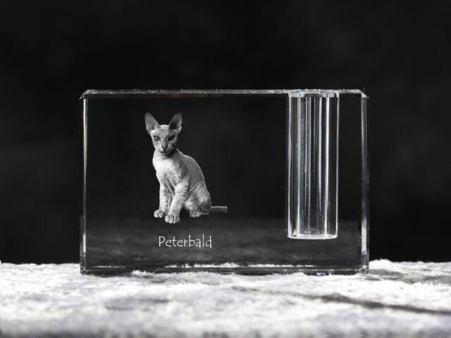 Peterbald, Crystal Pen Holder With Cat, Souvenir, Decoration, Limited Edition, Collection - image 1