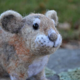 Paradise The Pica, Needle Felted Animal Wool Art Sculpture