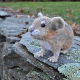 Paradise The Pica, Needle Felted Animal Wool Art Sculpture - thumbnail 3