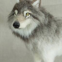 Made To Order Needle Felted Wolf Custom Needle Felted Animal Sculpture - thumbnail 3