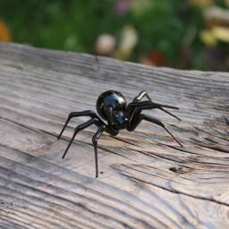 Spider Glass Art Figurine Insects Figure Sculpture - thumbnail 3