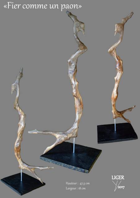 """Natural Driftwood Sculpture "" Proud As A Peacock"