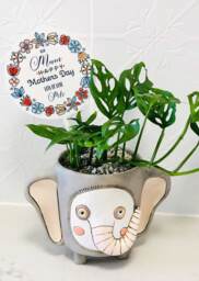 Mothers Day Personalised Plant Spike Gift #1 - Planter Stick Plantpot Thank You School Christmas