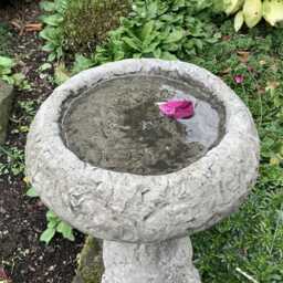 Reconstituted Stone Garden Birdbath Feeder - thumbnail 3