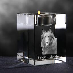 Belgian Shepherd, Crystal Candlestick With Dog, Souvenir, Decoration, Limited Edition, Collection - thumbnail 2