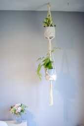 2 Level Plant Hanger Indoor, Two Tier Hanging Wall Planter, Multi Shrub Display, Double Layered Floating Flower Pot Holder - thumbnail 1