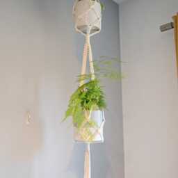 2 Level Plant Hanger Indoor, Two Tier Hanging Wall Planter, Multi Shrub Display, Double Layered Floating Flower Pot Holder - thumbnail 4