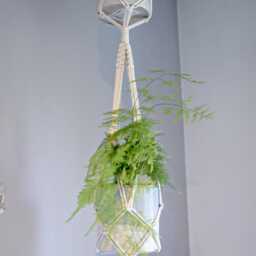 2 Level Plant Hanger Indoor, Two Tier Hanging Wall Planter, Multi Shrub Display, Double Layered Floating Flower Pot Holder - thumbnail 3