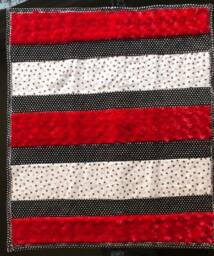 Handmade Modern Baby Minky Blanket Red Ladybug Polka Dots Plus Burb Cloth