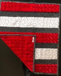 Handmade Modern Baby Minky Blanket Red Ladybug Polka Dots Plus Burb Cloth - thumbnail 2