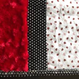 Handmade Modern Baby Minky Blanket Red Ladybug Polka Dots Plus Burb Cloth - thumbnail 3