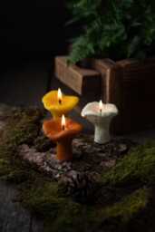 Mushroom Candles, Decoration, Autumn Decor, Home Beeswax Gift For Mom, Friend, Forest Candle