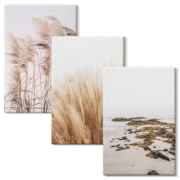 3 Piece Canvas Set - Pampas Grass Fields & A Boho Beach, Beige Wall Art Print, Landscapes Hanging - thumbnail 2