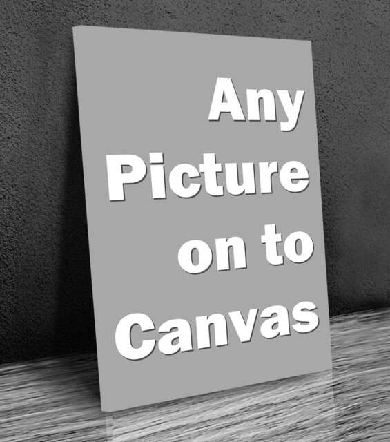 Any Picture On Canvas, Your Personalized Picture, Wall Hangings, Home Decor, Mounted Canvas Print Ready To Hang - image 1