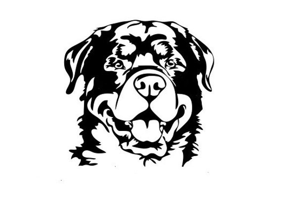 Rottweiler Dog Head Decal Decor Car Van Bonnet Vinyl Side Sticker Hood Graphic Sign Motorhome Campervan Wall Art