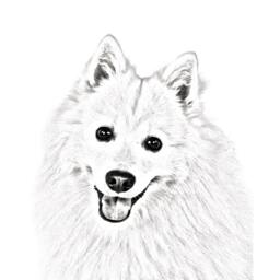 Japanese Spitz - Wooden Stand For Candles/Pens With The Image Of A Dog New Collection - thumbnail 2