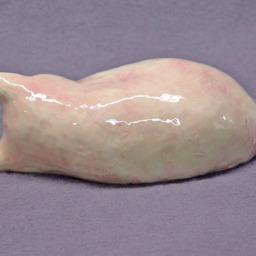 Handmade Ceramic Sleeping Cat, Cat Figurine, Sculpture, Art - thumbnail 3