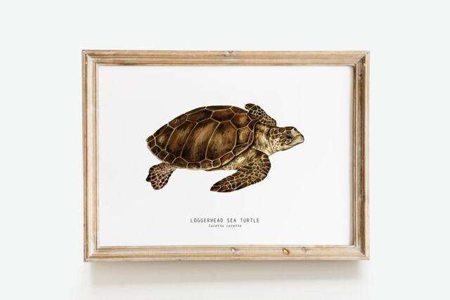 Loggerhead Sea Turtle Art Print - Caretta Caretta Wall D??cor Gift Watercolour Ocean, Beach Living Room Kids Nursery - image 1