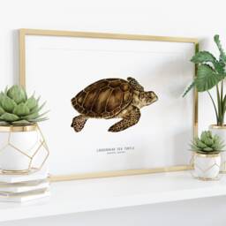 Loggerhead Sea Turtle Art Print - Caretta Caretta Wall D??cor Gift Watercolour Ocean, Beach Living Room Kids Nursery - thumbnail 3