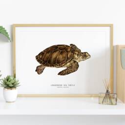 Loggerhead Sea Turtle Art Print - Caretta Caretta Wall D??cor Gift Watercolour Ocean, Beach Living Room Kids Nursery - thumbnail 2