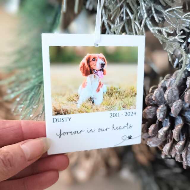 Polaroid Gift - Photo Car Ornament Christmas Tree Personalised Pet - image 1