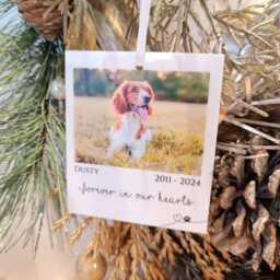 Polaroid Gift - Photo Car Ornament Christmas Tree Personalised Pet - thumbnail 3