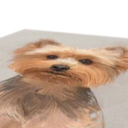 Yorkshire Terrier Canvas Art Dog Portrait Print, Home Decor - thumbnail 2