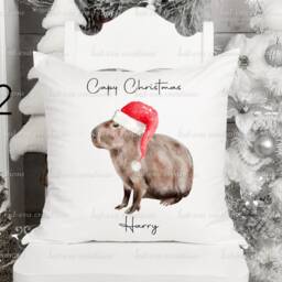 Personalised Christmas Capybara Cushion, Elf, Santa, Father Christmas - thumbnail 3