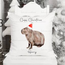 Personalised Christmas Capybara Cushion, Elf, Santa, Father Christmas - thumbnail 2