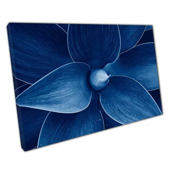 Classic Blue Agave Plant Canvas Print Stunning Macro Photography Wall Art Home Office Decor - image 1