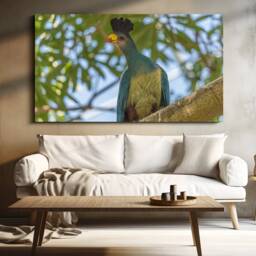 Great Blue Turaco Photo, Tropical Bird Photography, Avian Home Wall Decor - thumbnail 2