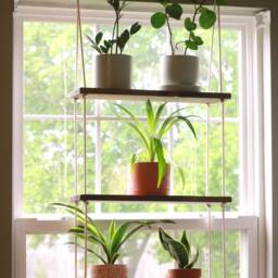 Tiered Wall Shelf - Hanging Rope Shelves Planter Floating Boho - thumbnail 3