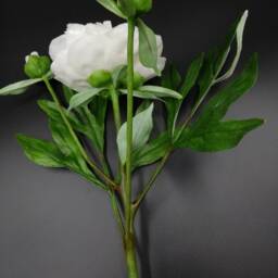 Handmade Polymer Clay White Peony Bouquet Floral Arrangement - thumbnail 2
