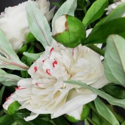Handmade Polymer Clay White Peony Bouquet Floral Arrangement - thumbnail 3