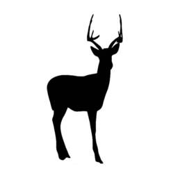 Deer Decal - Antler Animal Wall Buck Home Decor Sticker Vwaq - thumbnail 2