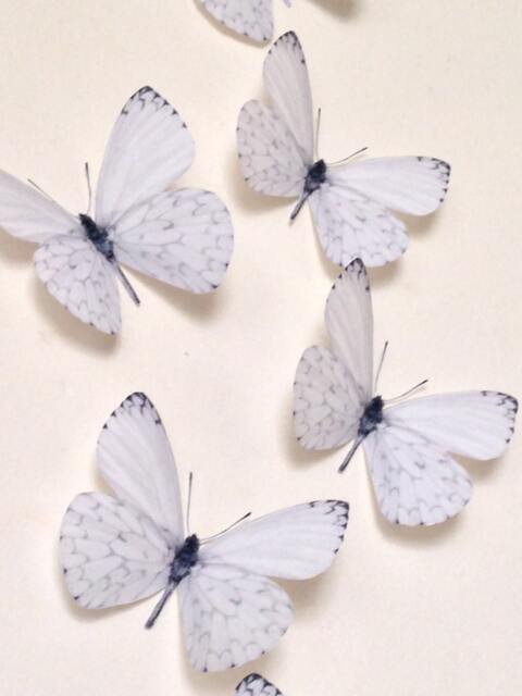 3D White Butterfly Wall Art Wedding & Home Decor - Set Of 6 - image 1