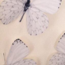 3D White Butterfly Wall Art Wedding & Home Decor - Set Of 6 - thumbnail 2
