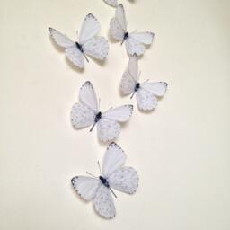 3D White Butterfly Wall Art Wedding & Home Decor - Set Of 6 - thumbnail 3