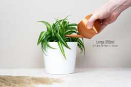 Watering Can For Indoor Houseplants - Copper + 11 More Colour Options 3D Printed in Biodegradable Pla Modern Plant Lovers Gift