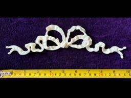 Large Gilt Or White French Style Decorative Ribbon Bows Wall Furniture Moulding Pediment Plastic Decoration - thumbnail 1