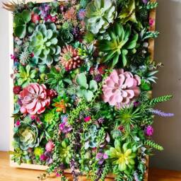Faux Succulent 3D Wall Art Vibrant Wood Framed Botanical Decor For Home Or Business - thumbnail 2