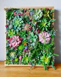Faux Succulent 3D Wall Art Vibrant Wood Framed Botanical Decor For Home Or Business - thumbnail 1