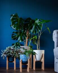 Indoor Plant Stands, House Accessories, Plant Gift Idea, 4 Different Sizes, Handmade From Bamboo