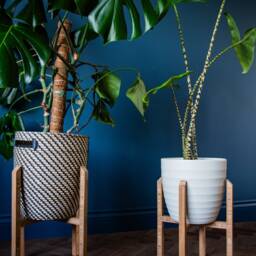 Indoor Plant Stands, House Accessories, Plant Gift Idea, 4 Different Sizes, Handmade From Bamboo - thumbnail 4