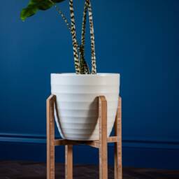 Indoor Plant Stands, House Accessories, Plant Gift Idea, 4 Different Sizes, Handmade From Bamboo - thumbnail 2