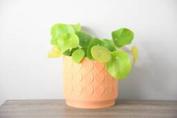 "Heart Planter With Drainage & Saucer in Orange Sherbet, Cute 3D-Printed Plant Pot, Small To Large Sizes 4"" 5"" 6"" 7"" 8"