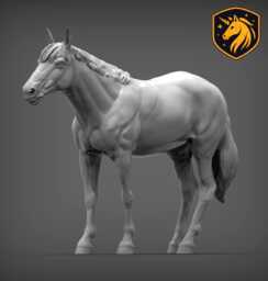Horse - Standing Pose - Unpainted Abs Resin Model - Realistic Equine Sculpture