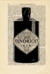 Hendricks Gin Bottle Art Print Decor Birthday Gift Present Wall Alcoholic Beverage Dorm Room - 17 - N??4 - thumbnail 2