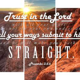 Proverbs 35-6 #30 Niv Trust in The Lord Bible Verse Canvas - Christian Scripture Religious Wall Art Home Decor Paintings - thumbnail 3