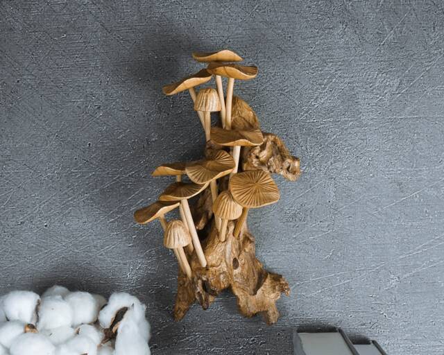 Handmade Wood Carving Mushroom Wall Art Driftwood Hanging Sculpture 9.5 - image 1